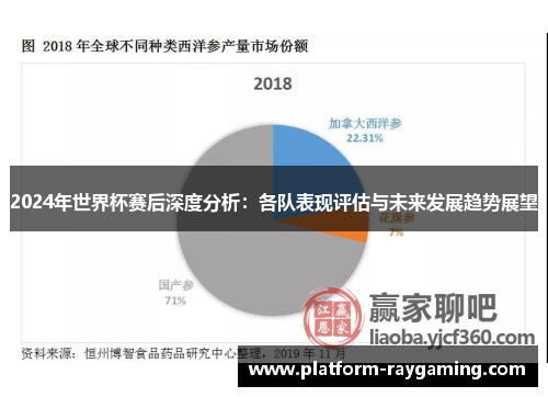 2024年世界杯赛后深度分析：各队表现评估与未来发展趋势展望