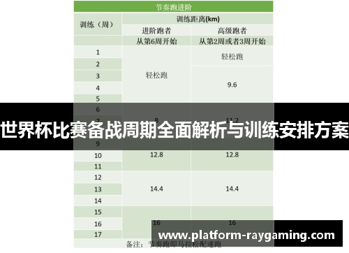 世界杯比赛备战周期全面解析与训练安排方案