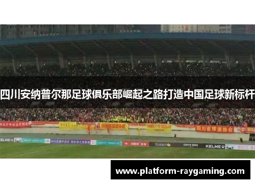 四川安纳普尔那足球俱乐部崛起之路打造中国足球新标杆