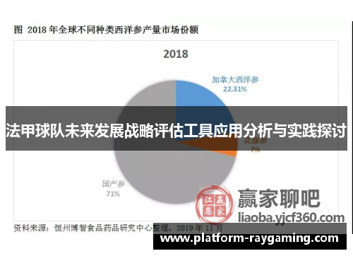 法甲球队未来发展战略评估工具应用分析与实践探讨