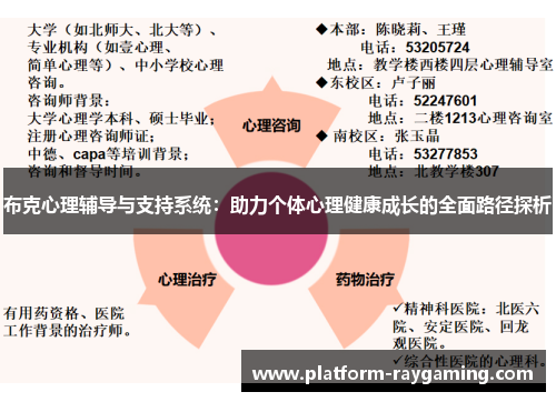 布克心理辅导与支持系统：助力个体心理健康成长的全面路径探析