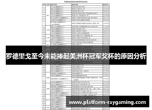 罗德里戈至今未能捧起美洲杯冠军奖杯的原因分析