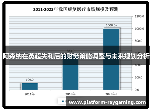 阿森纳在英超失利后的财务策略调整与未来规划分析