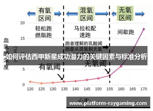 如何评估西甲新星成功潜力的关键因素与标准分析