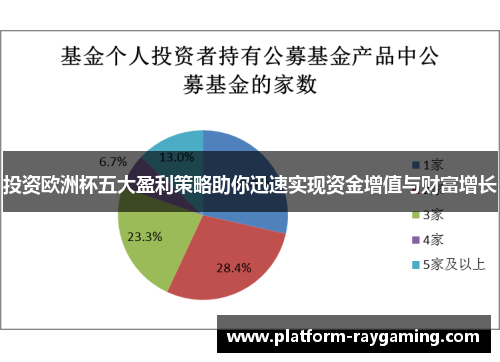 投资欧洲杯五大盈利策略助你迅速实现资金增值与财富增长