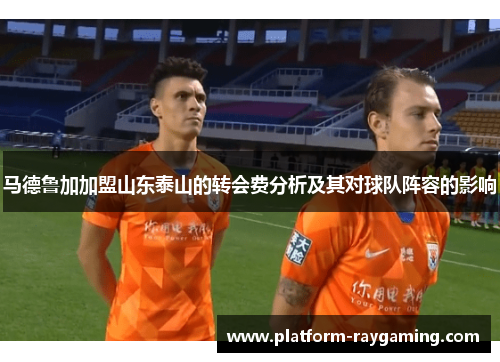 马德鲁加加盟山东泰山的转会费分析及其对球队阵容的影响