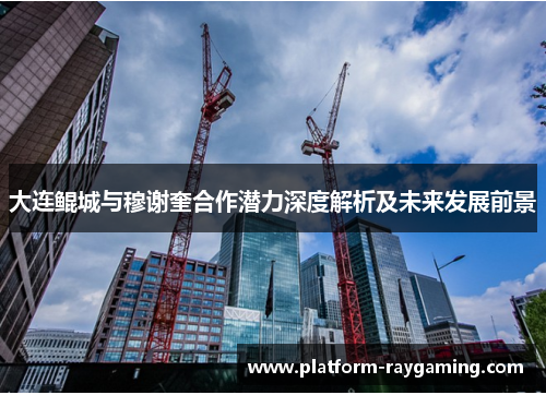 大连鲲城与穆谢奎合作潜力深度解析及未来发展前景