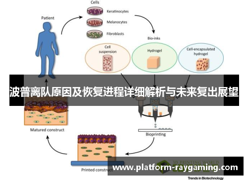 波普离队原因及恢复进程详细解析与未来复出展望